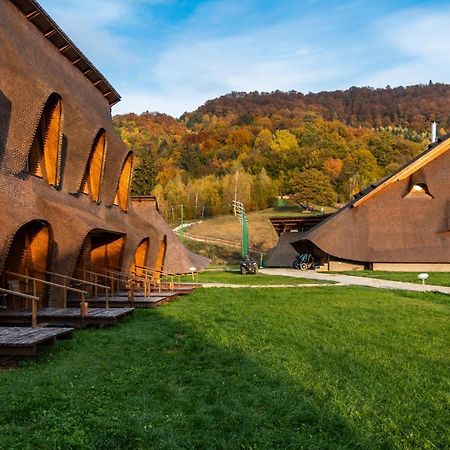 Отель Cuibul De Lemn Рышнов Экстерьер фото